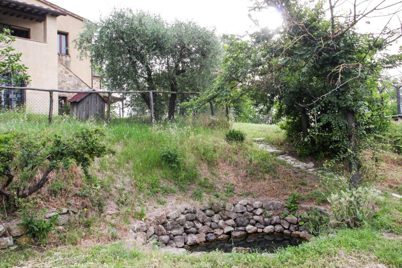 Terra Della Lanterna Bed & Breakfast Cetona Ngoại thất bức ảnh